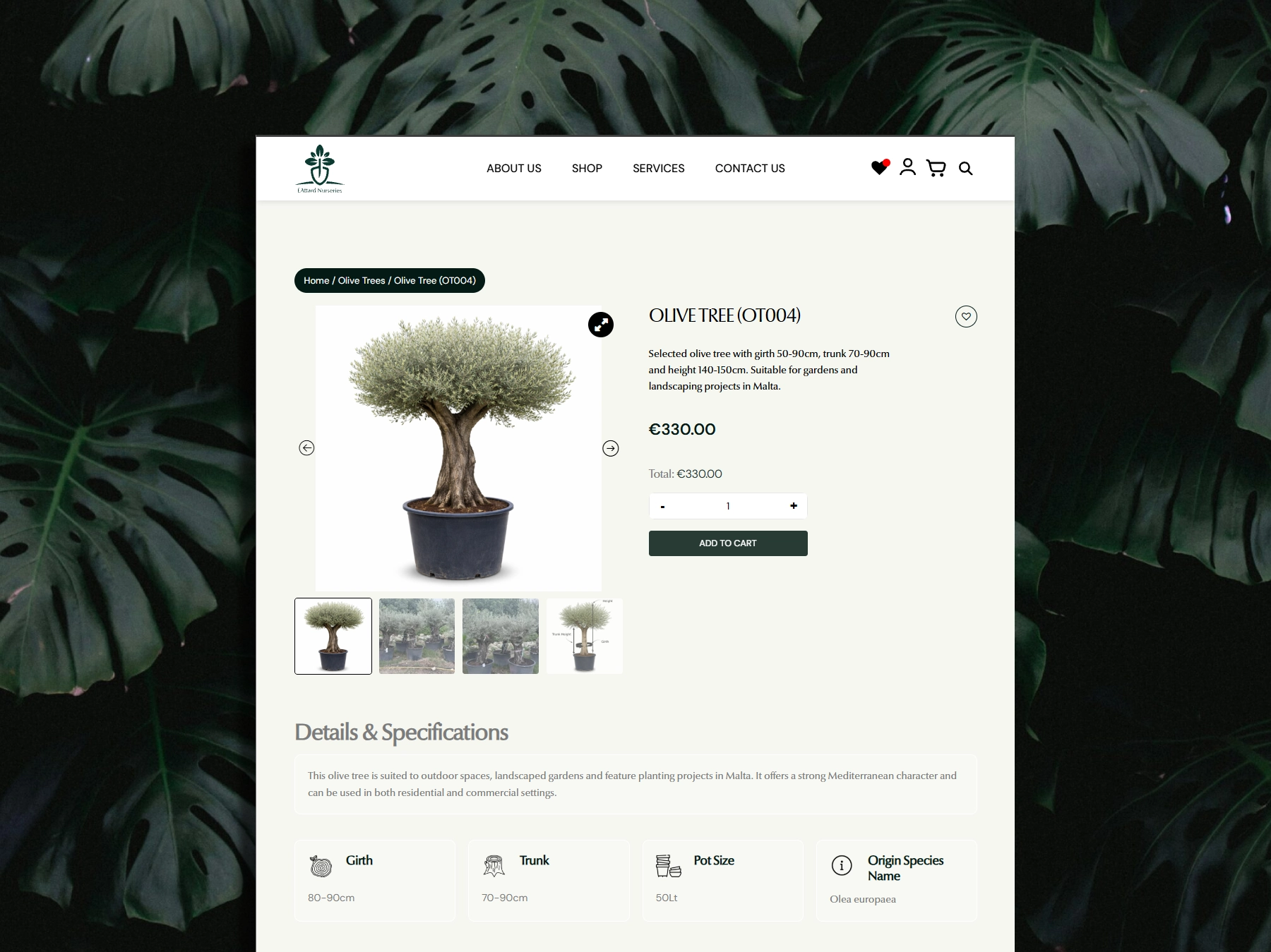 E. Attard Nurseries WooCommerce website designed and developed by Dreivo 2