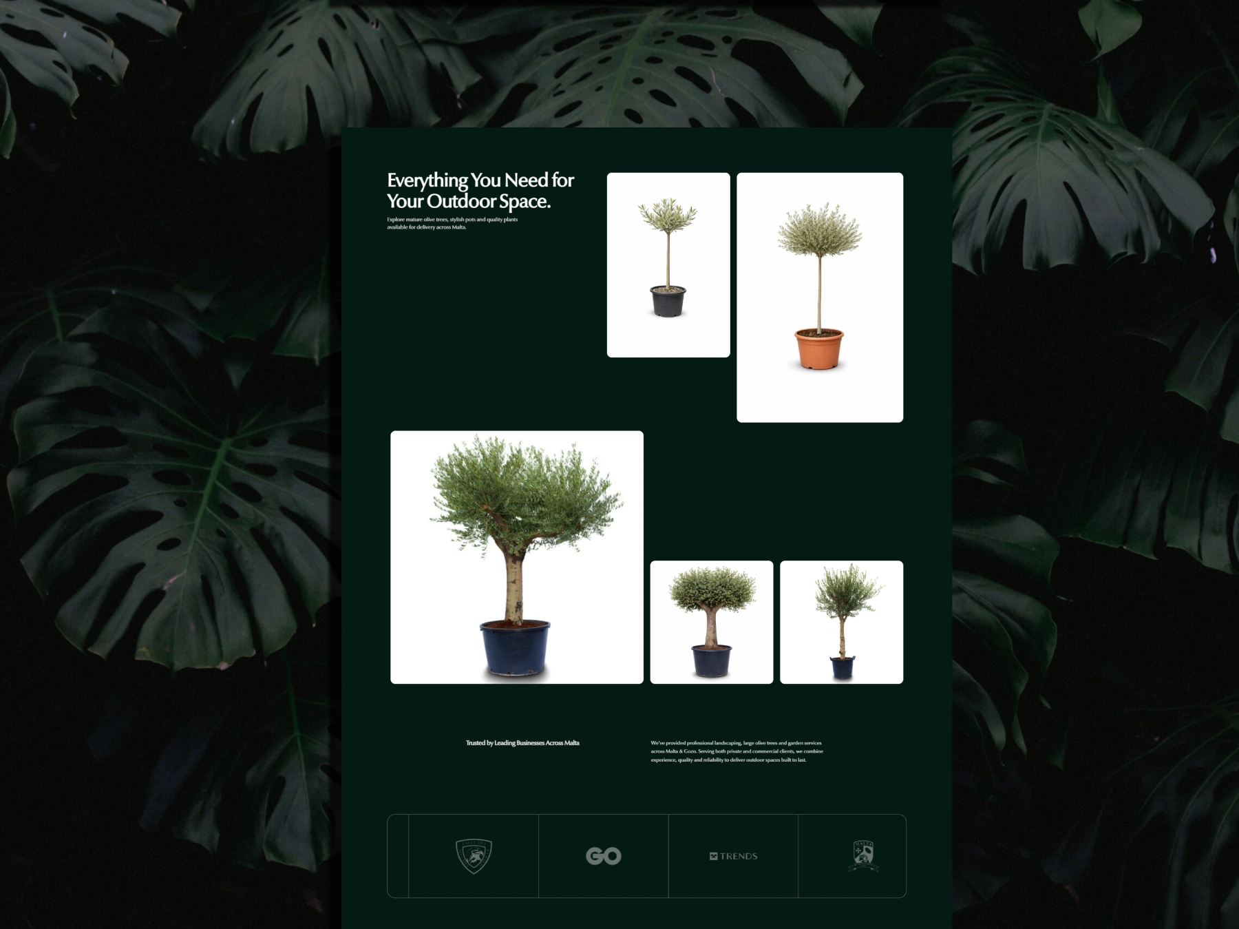 E. Attard Nurseries WooCommerce website designed and developed by Dreivo 6